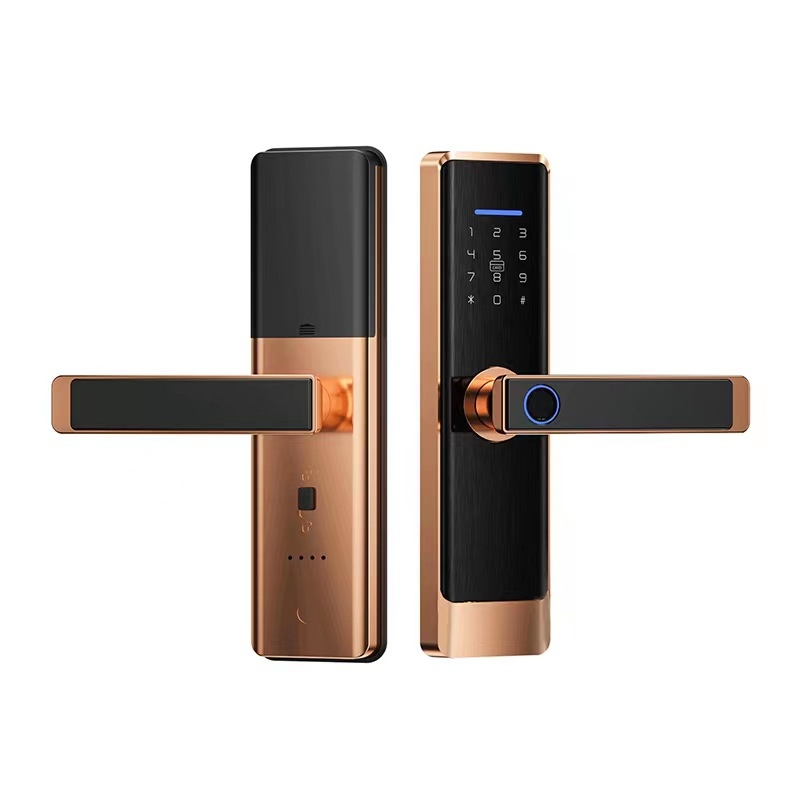 Sorrea HB-L1 pametna brava za masivna drvena vrata — otisak prsta, lozinka, kartica, Bluetooth i Wi‑Fi