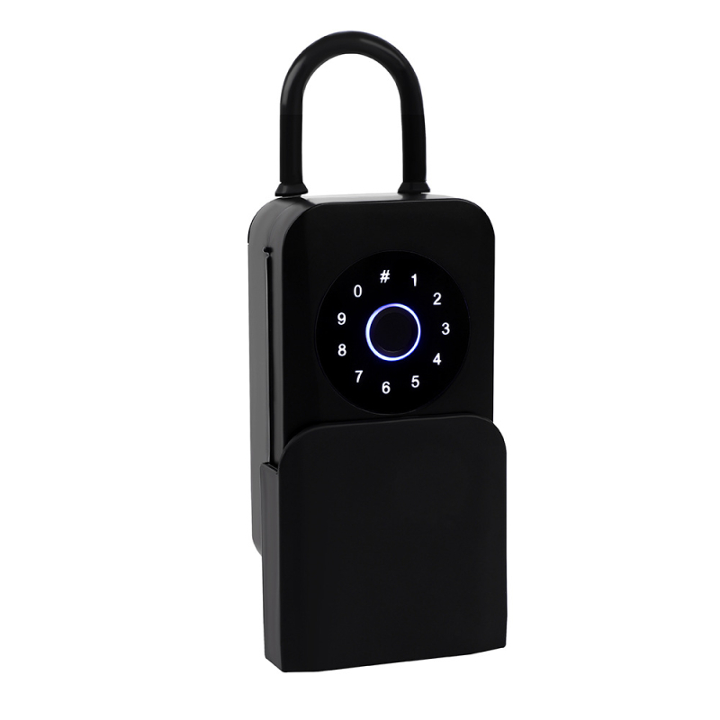 Kutija za ključe s graffiti dizajnom, Bluetooth, otisak prsta i lozinka — vanjska vodootporna, zidni nosač za vrata