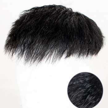 Muška perika, Morgan stil, korejski izgled, ljudska kosa, volumen, pogodna za bojanje i trajnu