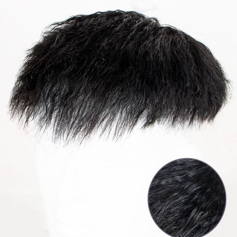 Muška perika, Morgan stil, korejski izgled, ljudska kosa, volumen, pogodna za bojanje i trajnu