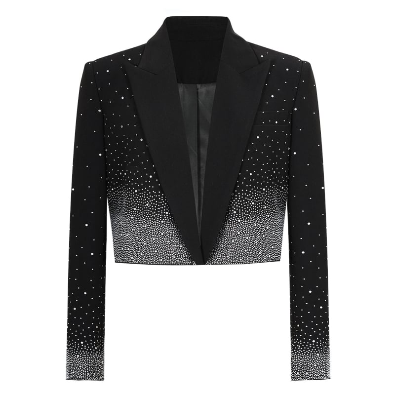 Slim-fit blejzer s perlicama od spandeksa, dugi rukavi, ovratnik sakoa