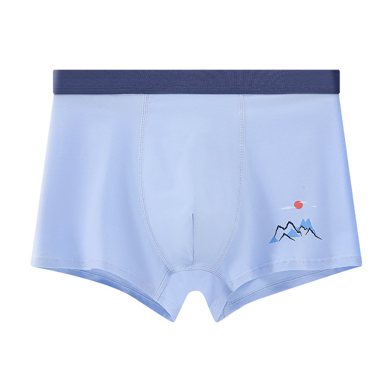 Boxeri za dječake - 95% pamuk, 5% elastan; pamuk materijal; spol: muški; za djecu iznad 8 godina (visina 140 cm i više)