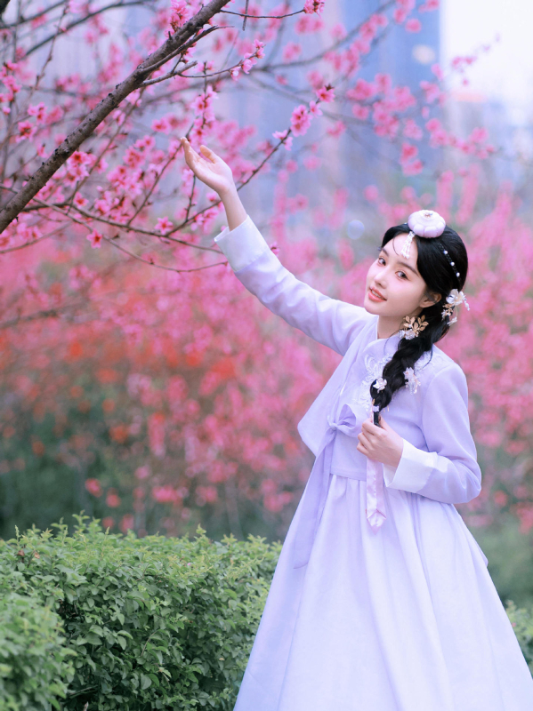 Yanji princeza Hanbok-inspirirani tradicionalni kostim za žene, mrežasta tkanina, poliester, proljeće 2025