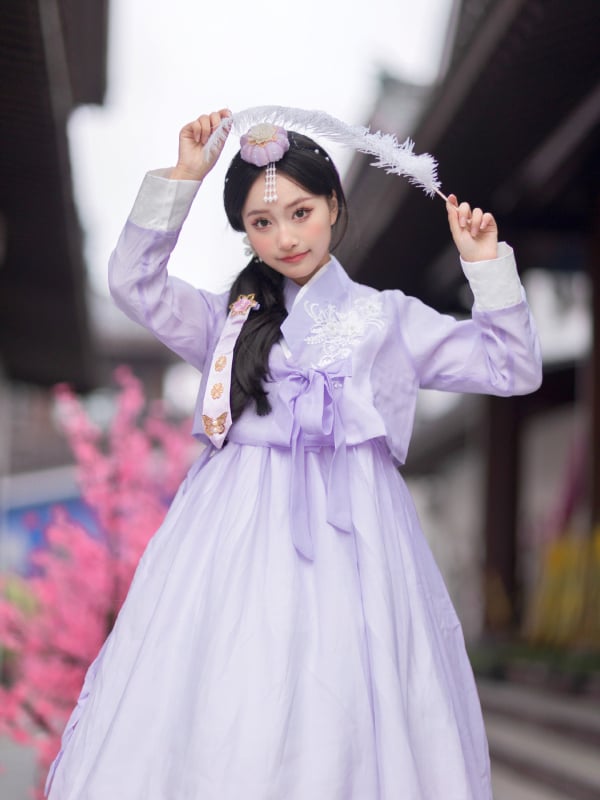 Yanji princeza Hanbok-inspirirani tradicionalni kostim za žene, mrežasta tkanina, poliester, proljeće 2025