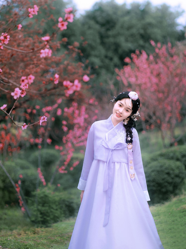 Yanji princeza Hanbok-inspirirani tradicionalni kostim za žene, mrežasta tkanina, poliester, proljeće 2025
