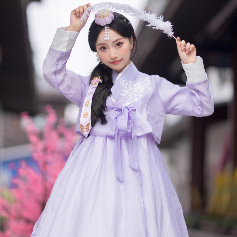 Yanji princeza Hanbok-inspirirani tradicionalni kostim za žene, mrežasta tkanina, poliester, proljeće 2025