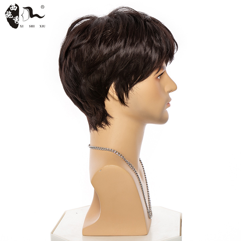 Σύντομη ίσια περούκα από ίνες υψηλής θερμοαντοχής, μηχανική επεξεργασία, φράντζ ίσια ή κεκλιμένη, ανδρικό μοντέλο Zy-153