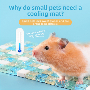 Covoraș de răcire pentru hamster – suprafață din marmură de sticlă pentru vară, accesorii pentru animale de companie