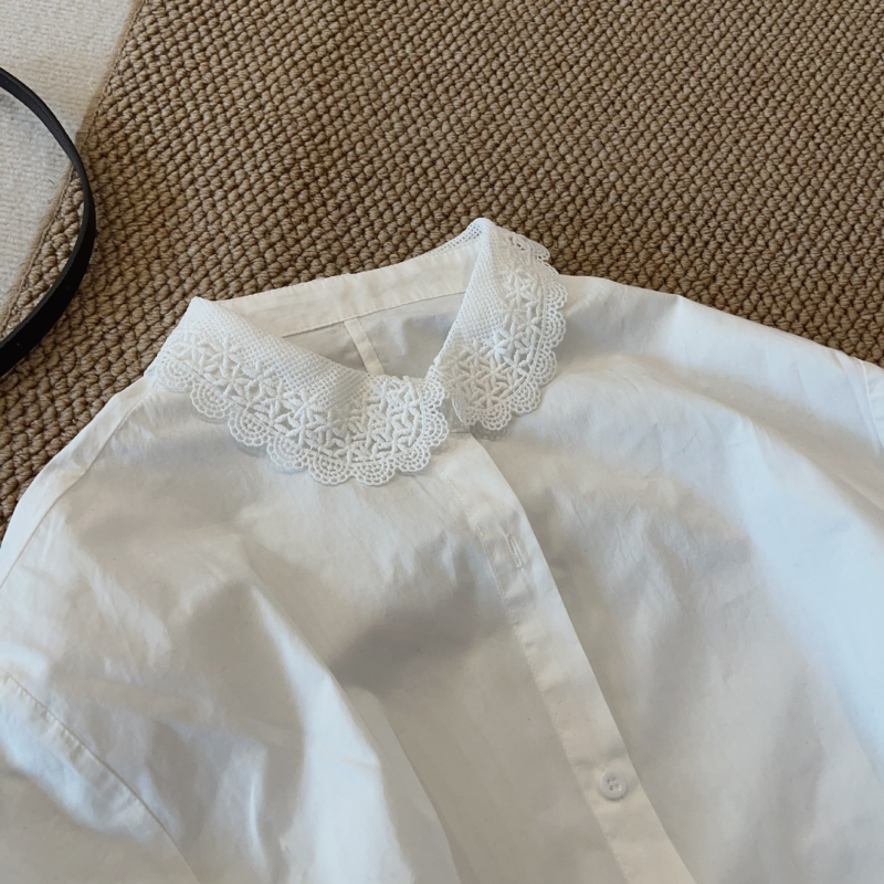 Košula s polo ovratnikom, Raglan dugi rukavi, kopčanje u jednom redu, mekani pamuk-satenski materijal (95%+ pamuka), japansko-korejski casual stil, regularna krojenje - 12376