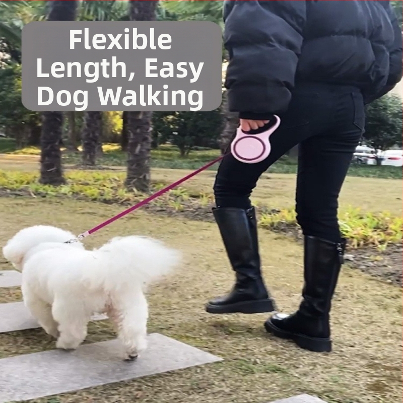 Lesă de câine telescopic automată cu frânghie retractabilă (Telescopic; Automat; Pentru câini; Frânghie)