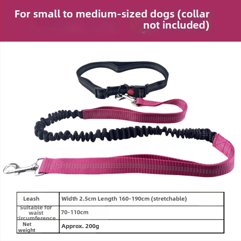 Lesă pentru talie pentru pisici, fără mâini, cu sfoară retractabilă