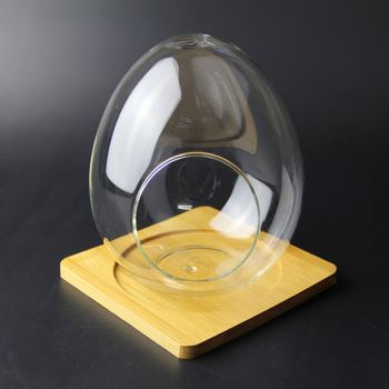 Sticlă borosilicat în formă de ou cu mușchi – mini micro peisaj, sticlă înalt borosilicată, DIY personalizabil (Material: High Borosicate Glass; Process: Blowing; Style: Geometry; Customization: Yes)