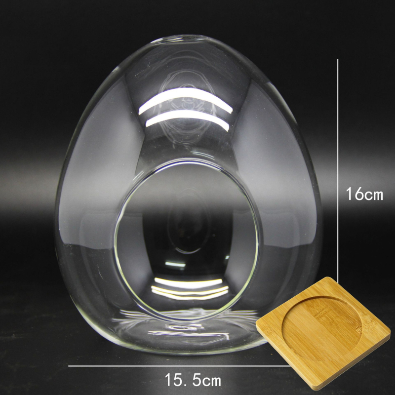 Sticlă borosilicat în formă de ou cu mușchi – mini micro peisaj, sticlă înalt borosilicată, DIY personalizabil (Material: High Borosicate Glass; Process: Blowing; Style: Geometry; Customization: Yes)