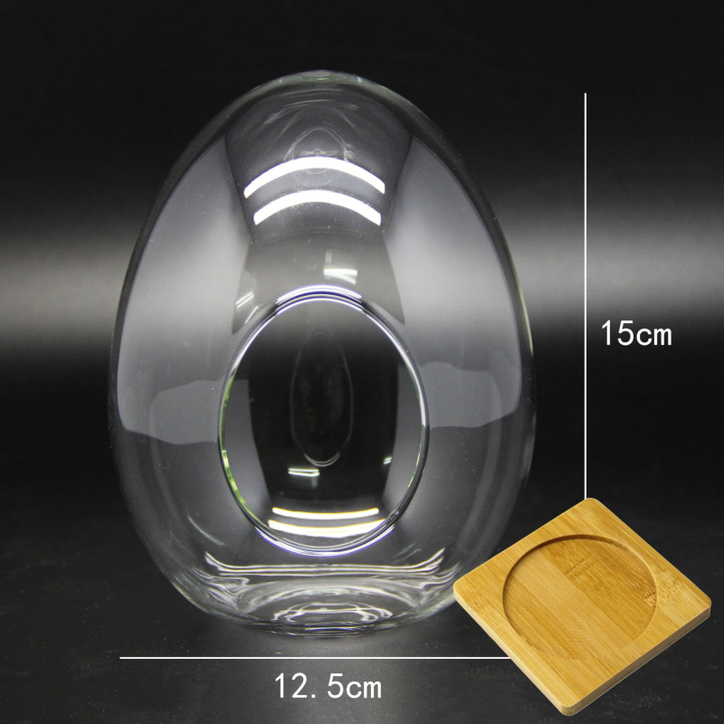 Sticlă borosilicat în formă de ou cu mușchi – mini micro peisaj, sticlă înalt borosilicată, DIY personalizabil (Material: High Borosicate Glass; Process: Blowing; Style: Geometry; Customization: Yes)
