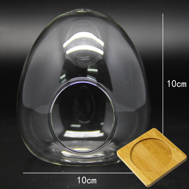 Sticlă borosilicat în formă de ou cu mușchi – mini micro peisaj, sticlă înalt borosilicată, DIY personalizabil (Material: High Borosicate Glass; Process: Blowing; Style: Geometry; Customization: Yes)