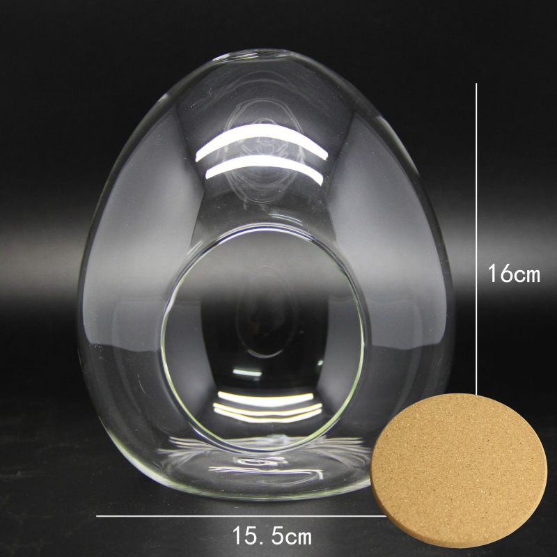 Sticlă borosilicat în formă de ou cu mușchi – mini micro peisaj, sticlă înalt borosilicată, DIY personalizabil (Material: High Borosicate Glass; Process: Blowing; Style: Geometry; Customization: Yes)