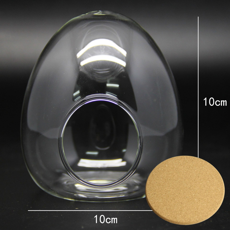 Sticlă borosilicat în formă de ou cu mușchi – mini micro peisaj, sticlă înalt borosilicată, DIY personalizabil (Material: High Borosicate Glass; Process: Blowing; Style: Geometry; Customization: Yes)