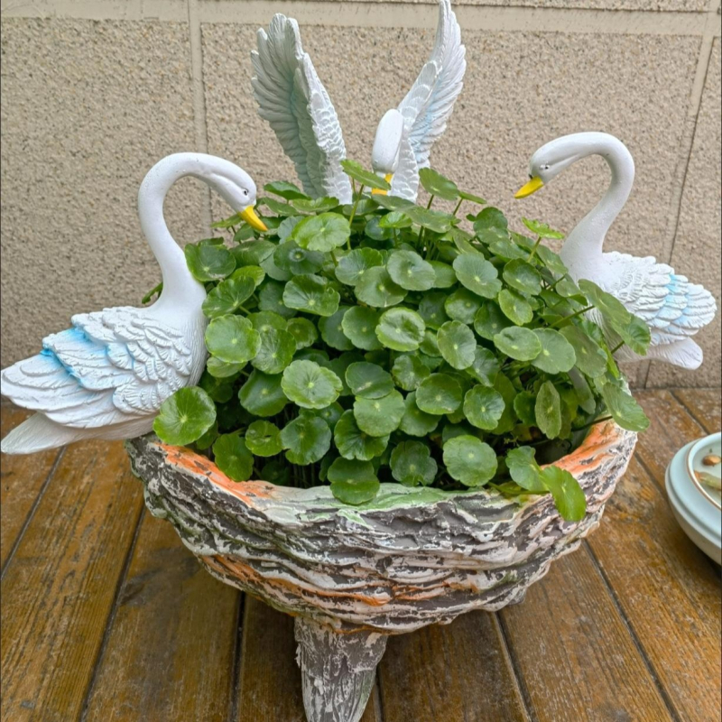 Hattyú alakú hidropóniás virágtartó gyantából – kreatív gyanta kézműves, Kategória: gyanta kézművesség, Csomagolás: karton