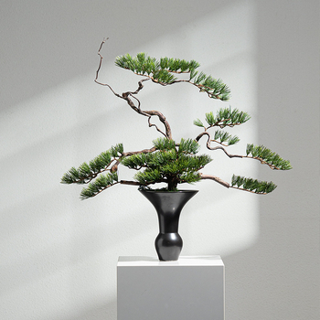 Keramička vaza za bonsai sa suhim granama, kineski stil, wabi-sabi, japanski zen