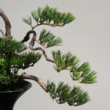 Keramička vaza za bonsai sa suhim granama, kineski stil, wabi-sabi, japanski zen