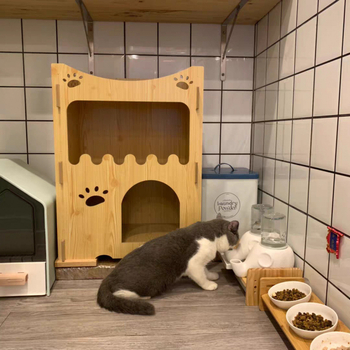 Ποτίστρα για γάτες — κεραμική, εμπνευσμένη από ελέφαντα, μη βρέχει το πηγούνι, μπολ με πρόσωπο Γκαρφίλντ και επίπεδο πρόσωπο, αποσπώμενο, μοντέλο Tf55