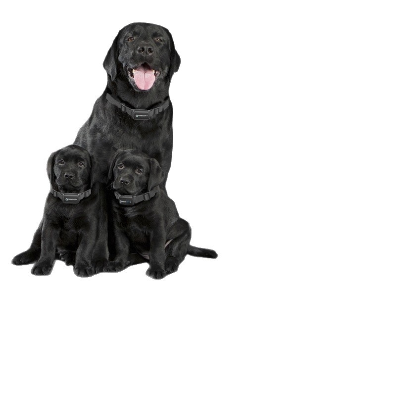 ABBIDOT Τηλεχειριζόμενος ηλεκτρικός κολάρος εκπαίδευσης σκύλων — συσκευή εκπαίδευσης και αντί-γαβγίσματος, πολυεστέρας