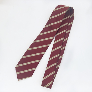 Unisex kravata s prugama, jacquard poliester, jesen 2021