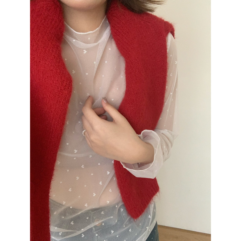 Ženska čipkasta bluza s dugim rukavima, materijal spandeks, uzorak: slova/brojevi/tekst, stil: princeza, izšiveno, produžena duljina