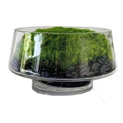 Vază din sticlă transparentă cu formă geometrică pentru suculente și mușchi, micro-peisaj hidroponic, suprafață lustruită, stil modern minimalist