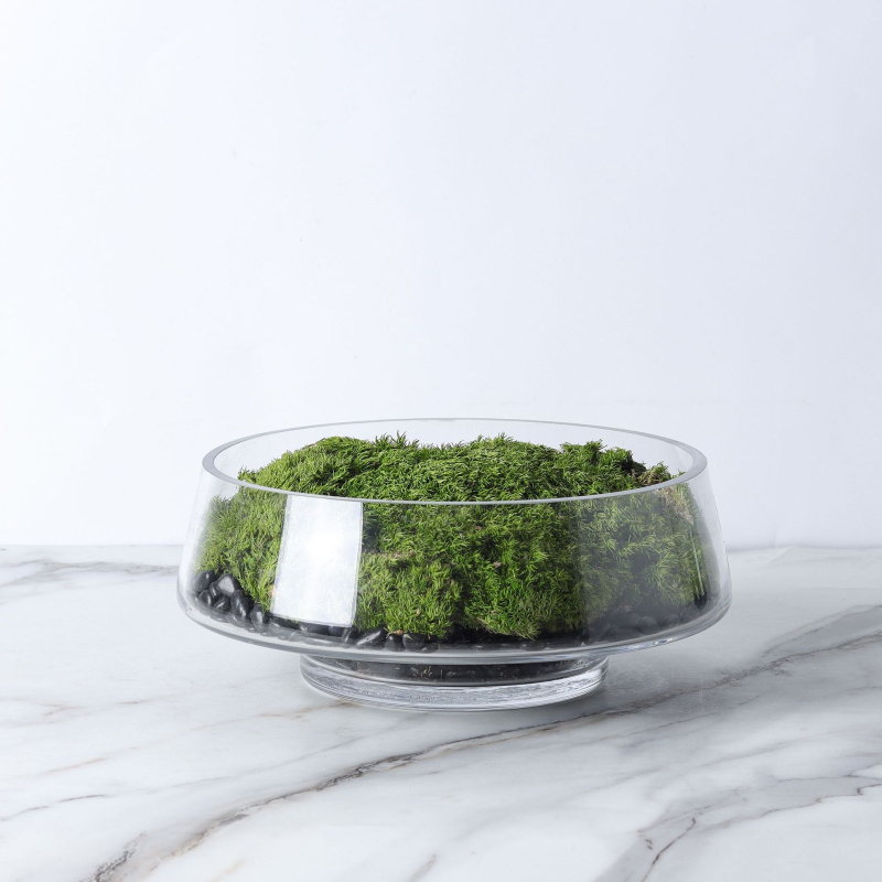 Vază din sticlă transparentă cu formă geometrică pentru suculente și mușchi, micro-peisaj hidroponic, suprafață lustruită, stil modern minimalist