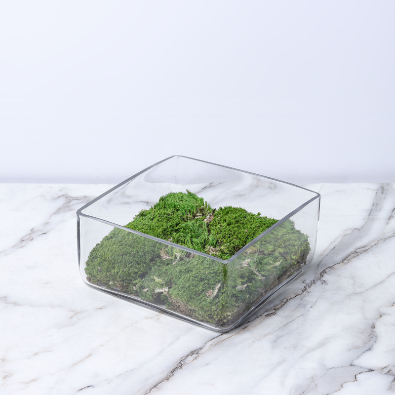 Vază din sticlă transparentă cu formă geometrică pentru suculente și mușchi, micro-peisaj hidroponic, suprafață lustruită, stil modern minimalist