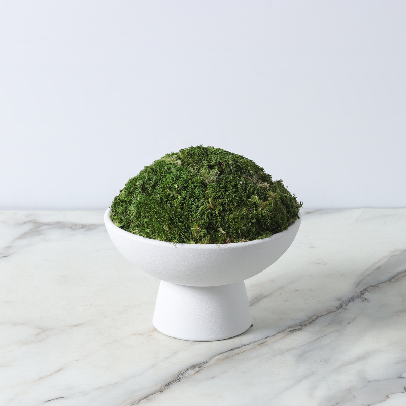 Vază din sticlă transparentă cu formă geometrică pentru suculente și mușchi, micro-peisaj hidroponic, suprafață lustruită, stil modern minimalist