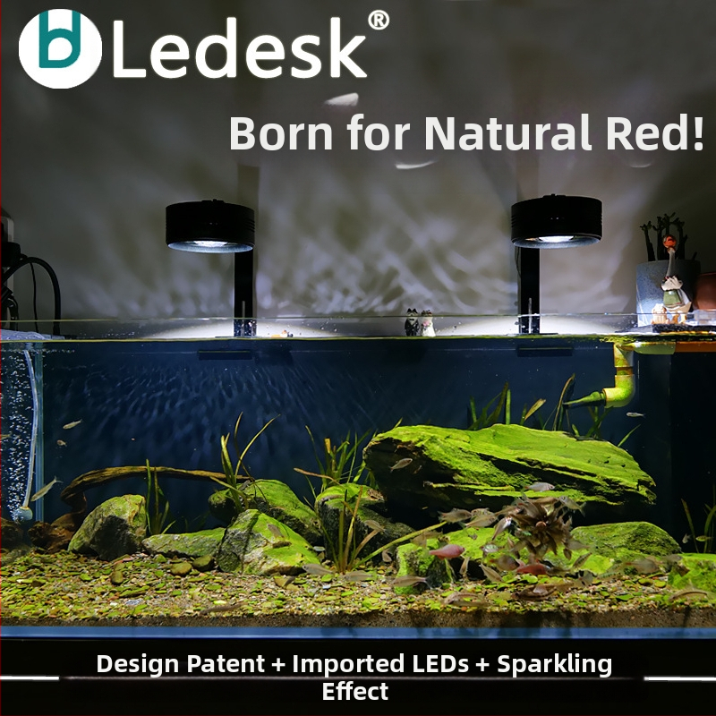LED rasvjeta za akvarij – originalno ekološka, puni spektar, za slatkovodne akvarije, uključuje nosač