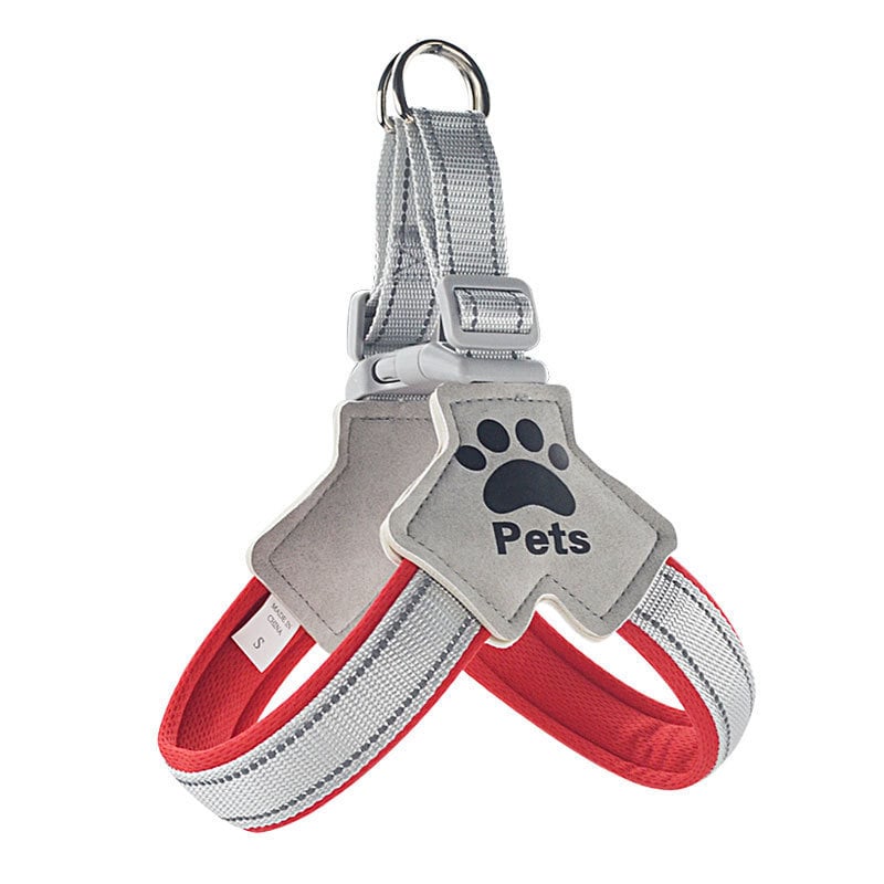 Ham pentru câine și lesă, poliester, reglabil, origine Zhejiang