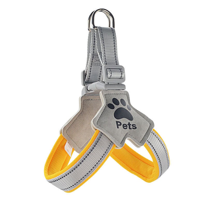 Ham pentru câine și lesă, poliester, reglabil, origine Zhejiang