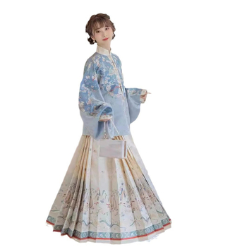 Hanfu set u Ming stilu za žene – stojeći ovratnik, rukavi Pipa, otisnuta suknja i Mamian suknja, poliester