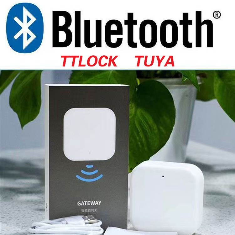 G2 Gateway s Tuya Bluetooth bežičnim gatewayjem, ABS, 200 g