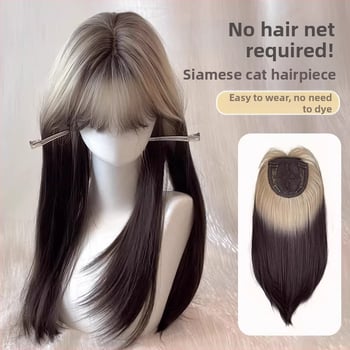 Perika od proteinskih vlakana, ravni stil; tehnologija obrade: mehanizam; model 2735; podrijetlo Jiangxi