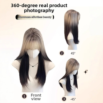 Perika od proteinskih vlakana, ravni stil; tehnologija obrade: mehanizam; model 2735; podrijetlo Jiangxi