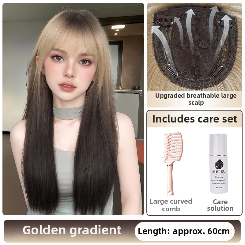 Perika od proteinskih vlakana, ravni stil; tehnologija obrade: mehanizam; model 2735; podrijetlo Jiangxi