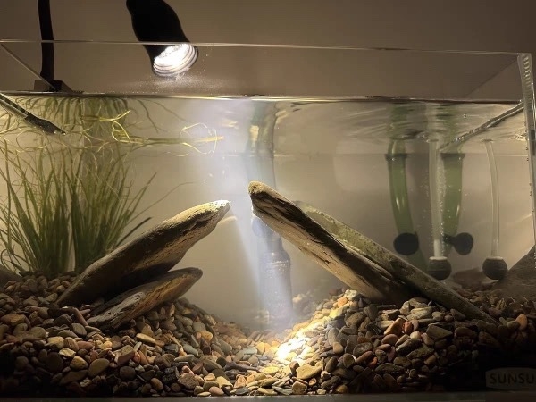 Akvarisztikai tájkép fő kő, rockery készlet halak, garnéla és teknősök számára