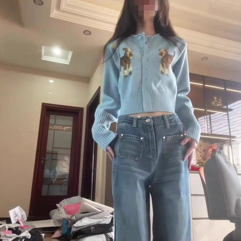Kardigan od poliestera, slim fit, dugi rukavi, okrugli izrez, kratka duljina, jesen 2025