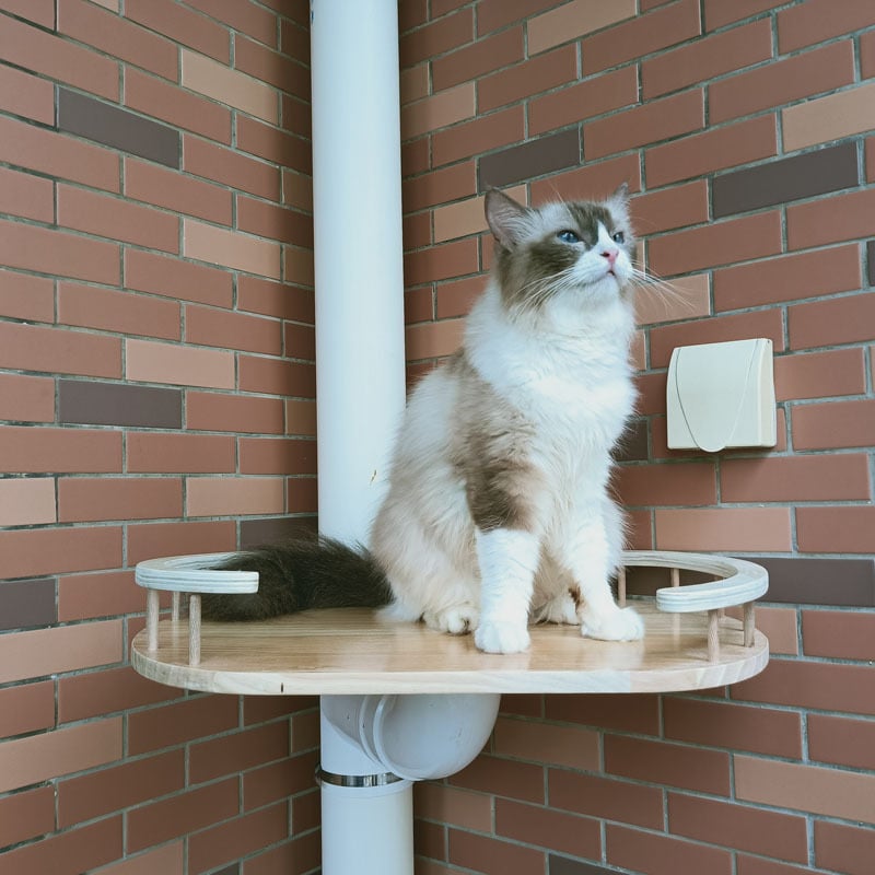 Yuepai PVC котешка катереща рамка за балкон, прост стил