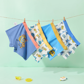 Dječje pamučne gaćice za dečke - 95% pamuk, sigurnosna Klasa A, za djecu od 8 godina (iznad 140 cm), Ljeto 2024