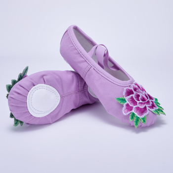 Tanečne cipele za nastupe, platneni gornji dio, kožna potplata, lagane, unisex, za odrasle