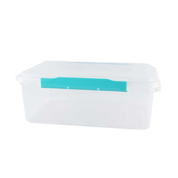 Fat Cat πλαστικό ορθογώνιο κουτί διατήρησης φρέσκων τροφίμων, χωρητικότητα άνω των 5 L, ασφαλής για φούρνο μικροκυμάτων, με εκτυπωμένο λογότυπο