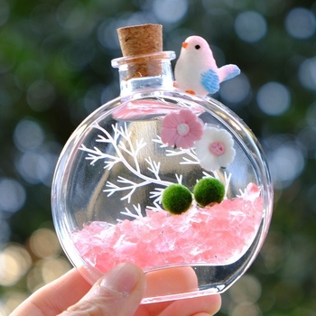 Αρωματικό μπουκάλι – οικολογικό τερράριουμ με μπάλα από φύκια, επιτραπέζιο μικρο-τοπίο, σετ υδροπονικής καλλιέργειας σε εσωτερικούς χώρους (Υλικό: Άλλο; Μάρκα: Άλλο; Εισαγόμενο: Όχι; Δώρο: Όχι)