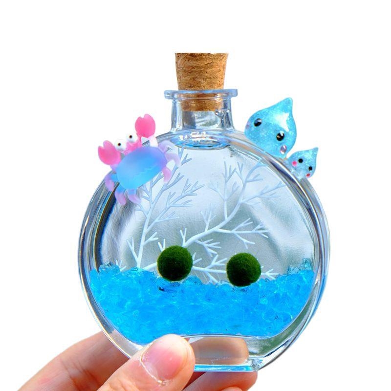 Αρωματικό μπουκάλι – οικολογικό τερράριουμ με μπάλα από φύκια, επιτραπέζιο μικρο-τοπίο, σετ υδροπονικής καλλιέργειας σε εσωτερικούς χώρους (Υλικό: Άλλο; Μάρκα: Άλλο; Εισαγόμενο: Όχι; Δώρο: Όχι)