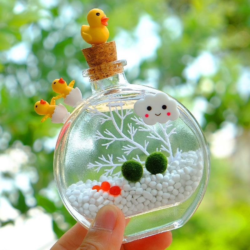 Αρωματικό μπουκάλι – οικολογικό τερράριουμ με μπάλα από φύκια, επιτραπέζιο μικρο-τοπίο, σετ υδροπονικής καλλιέργειας σε εσωτερικούς χώρους (Υλικό: Άλλο; Μάρκα: Άλλο; Εισαγόμενο: Όχι; Δώρο: Όχι)