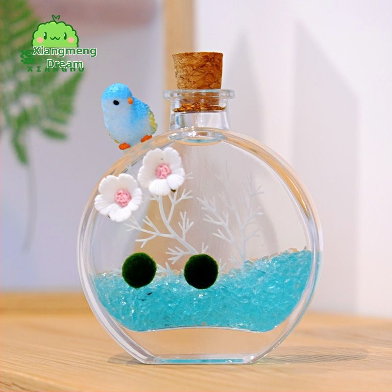 Αρωματικό μπουκάλι – οικολογικό τερράριουμ με μπάλα από φύκια, επιτραπέζιο μικρο-τοπίο, σετ υδροπονικής καλλιέργειας σε εσωτερικούς χώρους (Υλικό: Άλλο; Μάρκα: Άλλο; Εισαγόμενο: Όχι; Δώρο: Όχι)